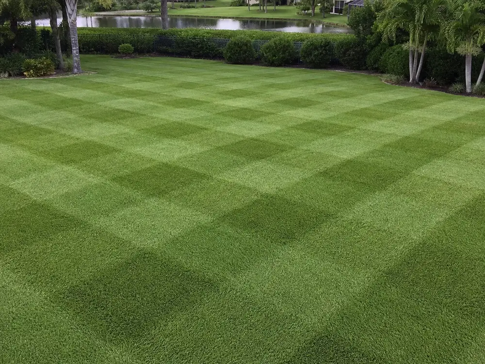 Lawn Mowing in Ocala, Florida