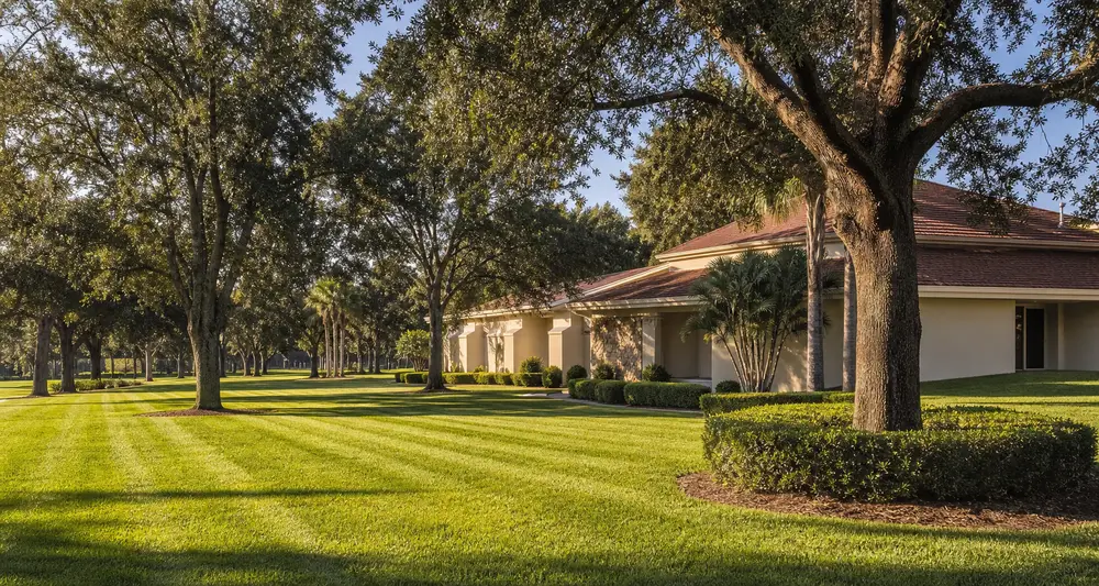 church campus live oaks